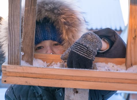 Close-up of an adorable child, boy feeding birds on a cold winter day, pouring grain into a feeder. A child helps birds in winter. Winter activities for children.