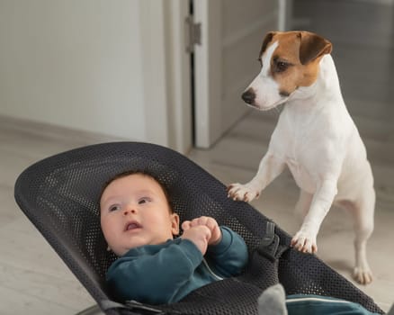 A dog rocks a cute three month old boy dressed in a blue onesie in a baby bouncer