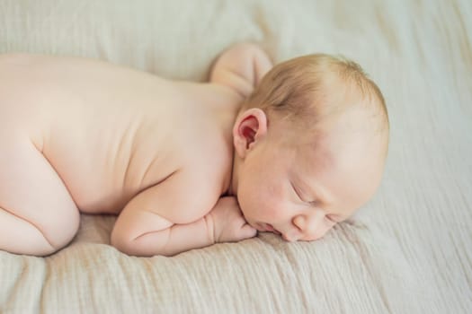 The baby is sleeping peacefully in his cozy nest. Newborn photo session captures the serene innocence and warmth of early moments.