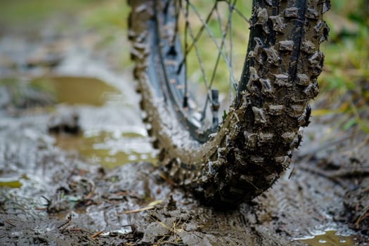 Close-up of Muddy Balance Bike Tire with Terrain Textures Imprinted.