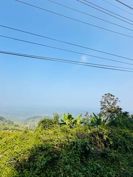 A photograph captures a picturesque view of lush green foliage in the foreground, with a clear blue sky and power lines overhead. The distant landscape is obscured by a haze, adding a sense of mystery to the scene. The image evokes a sense of tranquility and natural beauty.