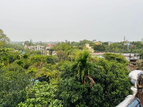 A view from a rooftop in Bangladesh, showcasing a lush canopy of trees that obscure a distant cityscape. The houses in the background are visible through the greenery, providing a glimpse into the citys urban landscape. The sky is overcast with a faint gray, adding to the serene and tranquil atmosphere.