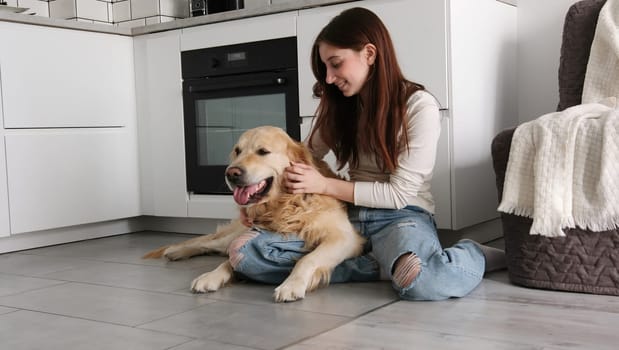 Young Girl Softly Petting Cute Golden Retriever Dog