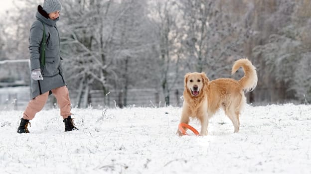 Funny Golden Retriever Dog Playing With Owner Girl On Snow In Winter