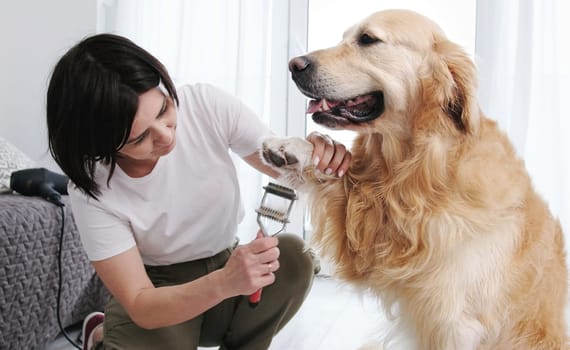 Woman Owner Brushing Paws And Cutting Fur Her Dog, Grooming Procedures At Home