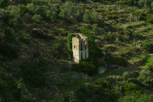 A weathered stone tower stands amidst lush vegetation on a hillside, remnants of a past civilization.