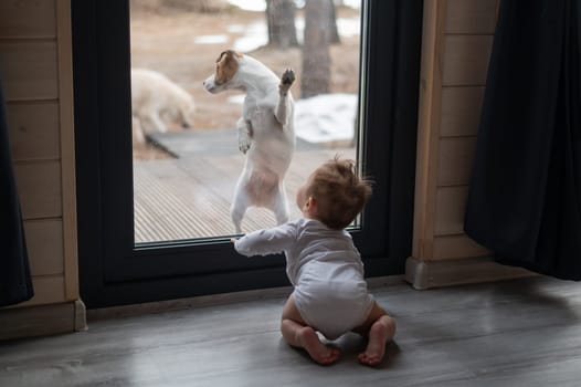 The dog stands at the patio window and asks to go inside the house to the baby boy