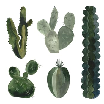 Set of cacti. Plants for the home. Floriculture. Desert flora. Isolated watercolor illustration on white background. Clipart