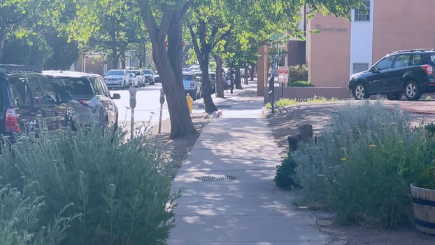 Santa Fe, New Mexico, USA-June 10, 2024-Slow motion-A picturesque view of the charming streets in Santa Fe, New Mexico. The sidewalk is flanked by lush greenery and mature trees, offering a serene and inviting atmosphere. Parked cars line the street, and in the background, the distinctive adobe architecture of Santa Fe buildings is visible, showcasing the city unique cultural heritage. This image captures the tranquil and welcoming ambiance of Santa Fe, highlighting its blend of natural beauty and historic charm.