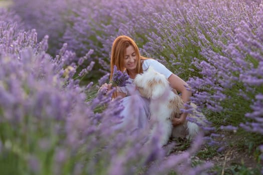 A woman sits in a field of lavender flowers with a dog by her side. The scene is peaceful and serene, with the woman and her dog enjoying each other's company in the beautiful surroundings