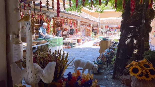 Santa Fe, New Mexico, USA-June 11, 2024-Slow motion-A vibrant outdoor market showcasing an array of colorful ceramics, pottery, and handcrafted items. Shoppers explore the unique local crafts under a sunny sky, surrounded by traditional adobe architecture.