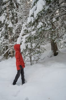 Portrait of teenage boy walking and having fun in winter snowing forest