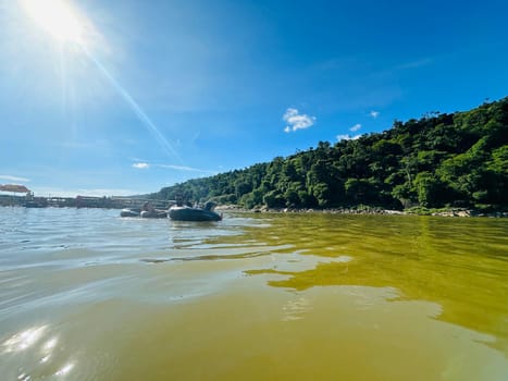 A view from a small boat on a sunny day, with a lush green forest on the right side of the image and a calm, slightly murky river flowing toward the shore. The bright sun is shining overhead, creating a warm and peaceful atmosphere.