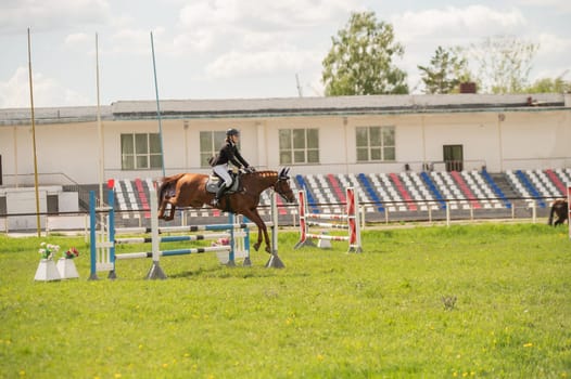 A young girl goes in for horse riding. A horse jumps over a barrier