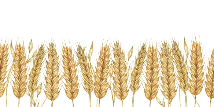 Wheat stalks seamless border, barley ears ribbon. Watercolor illustration for harvest celebration, rustic designs, beer, bread, farming themes. Clipart for textiles, packaging, backgrounds, banner