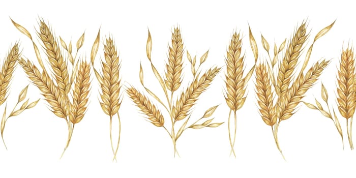 Wheat stalks seamless border, barley ears ribbon. Watercolor illustration for harvest celebration, rustic designs, beer, bread, farming themes. Clipart for textiles, packaging, backgrounds, banner
