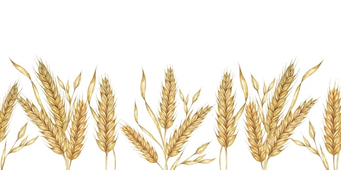 Wheat stalks seamless border, barley ears ribbon. Watercolor illustration for harvest celebration, rustic designs, beer, bread, farming themes. Clipart for textiles, packaging, backgrounds, banner