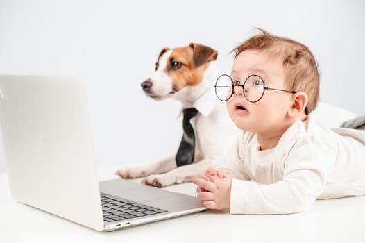 Cute baby boy and Jack Russell terrier dog working on a laptop