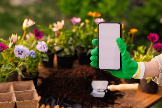 gardener holding phone in garden with flowers, online flower shop, caring for flower plants