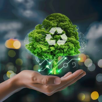 Hand holding a small tree with recycle symbol. Concept of technology innovation for recycling and sustainability.