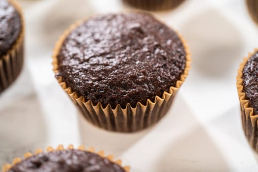 Freshly baked chocolate cupcakes are poised for a delightful transformation as they await a generous coating of rich and velvety chocolate frosting.