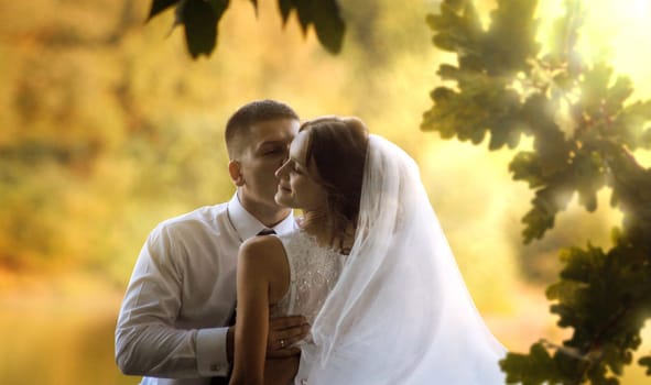 The groom kisses his bride in the rays of the setting sun. High quality photo