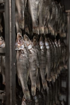 Smoked fish production concept: smoked fish in smokehouse box.