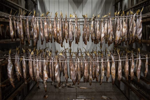 Smoked fish production concept: smoked fish in smokehouse box.