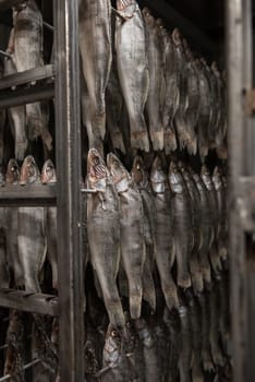 Smoked fish production concept: smoked fish in smokehouse box.