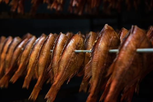 Smoked fish production concept: smoking sea bass fish in smokehouse box.