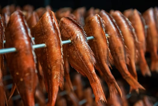 Smoked fish production concept: smoking sea bass fish in smokehouse box.
