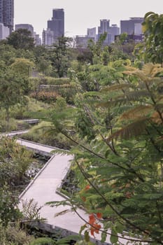 Bangkok, Thailand - 22 Jun, 2024 - View of Path leads off into the distance among surrounded green trees space in the park with modern buildings background. Copy space, Selective focus.