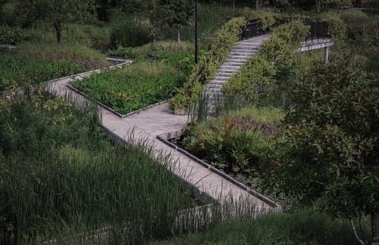 Bangkok, Thailand - 22 Jun, 2024 - View of Path leads off into the distance among surrounded green trees space in the park. Space for text, Selective focus.