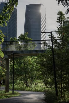 Bangkok, Thailand - 22 Jun, 2024 - The large urban park with trails for running and cycling serene atmosphere with Benjakitti park skywalk. Empty street, Space for text, Selective focus.