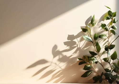 Minimalistic abstract gentle light beige wall background for product presentation or social media stories backdrop template. Green leaves aesthetic with beautiful light and intricate shadow.