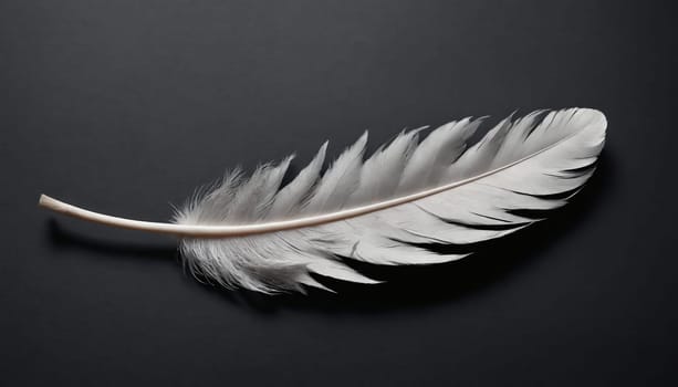 A close-up image of a single, white bird feather laying horizontally on a dark grey background. The feather is positioned slightly off-center, with the tip pointing to the right. The feather is soft and delicate, with its individual barbs visible. The background is plain and simple, allowing the feather to be the focus of the image.