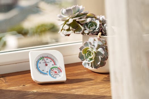 A white thermometer rests on a wooden windowsill, beside a pot of succulents.
