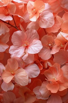 Beautiful branches of flowers in coral tones as a virtual background