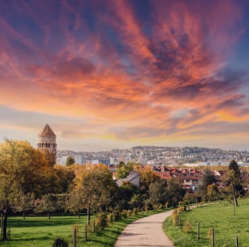 Germany, Stuttgart panorama view. Beautiful houses in autumn, Sky and nature landscape. Vineyards in Stuttgart - colorful wine growing region in the south of Germany with view over Neckar Valley. Germany, Stuttgart city panorama view above vineyards, industry, houses, streets, stadium and highway at sunset in warm orange light.