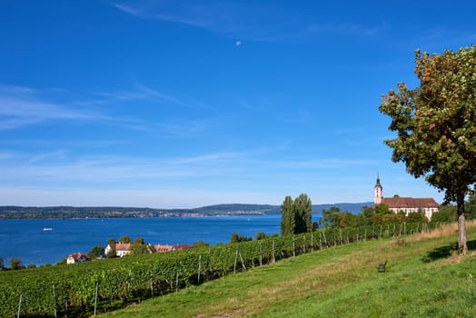 Bodensee Panorama: Alps on the Horizon, Vineyards, and Pastoral Beauty. Alpine Horizon: Bodensee, Vineyards, and Quaint Villages in the German Countryside. Vineyard Vistas: Bodensee, Alpine Peaks, and the Rural Charm of German Agriculture. Rural Tranquility: Bodensee Overlooking Pastures, Vineyards, and Traditional Villages,