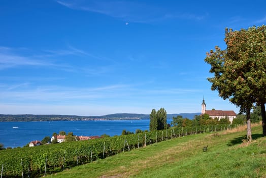 Bodensee Panorama: Alps on the Horizon, Vineyards, and Pastoral Beauty. Alpine Horizon: Bodensee, Vineyards, and Quaint Villages in the German Countryside. Vineyard Vistas: Bodensee, Alpine Peaks, and the Rural Charm of German Agriculture. Rural Tranquility: Bodensee Overlooking Pastures, Vineyards, and Traditional Villages,