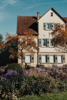 House with nice garden in fall. Flowers in the Park. Bietigheim-Bissingen. Germany, Europe. Autumn Park and house, nobody, bush and grenery