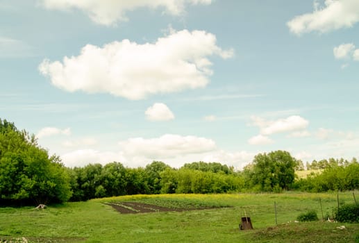 A large, open field with a wheelbarrow sitting in the foreground. The field is surrounded by trees, and the sky is a light blue with white fluffy clouds.
