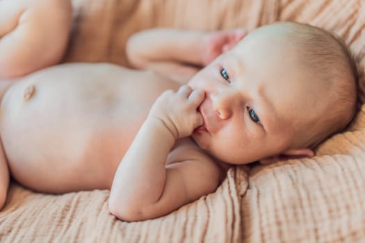 The baby is sleeping peacefully in his cozy nest. Newborn photo session captures the serene innocence and warmth of early moments.