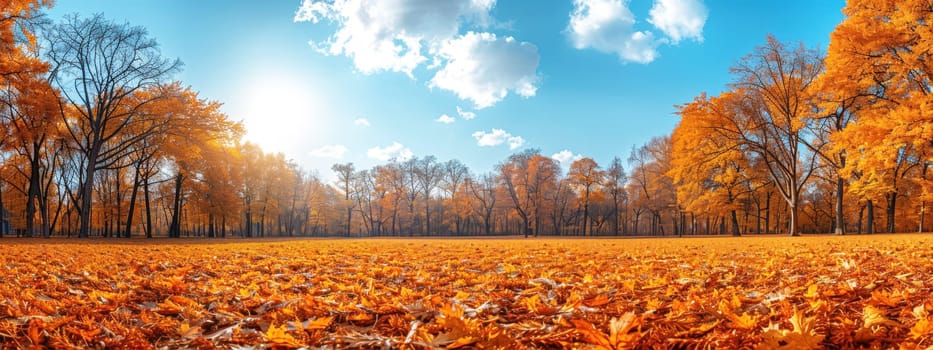 Beautiful autumn landscape with falling yellow leaves covering the ground. The blue sky and the warming sun. Natural autumnal concept. Advertising presentation with space for copy.