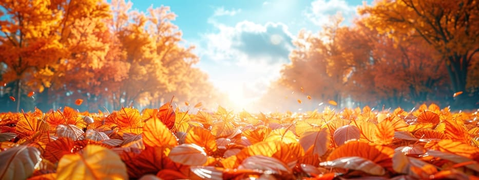 Beautiful autumn landscape with falling yellow leaves covering the ground. The blue sky and the warming sun. Natural autumnal concept. Advertising presentation with space for copy.