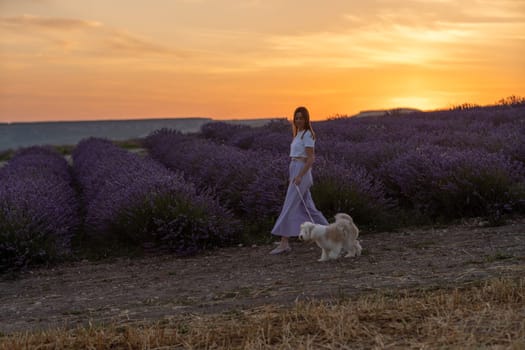 A woman and her dog are walking through a field of lavender. The sky is orange and pink, creating a warm and peaceful atmosphere