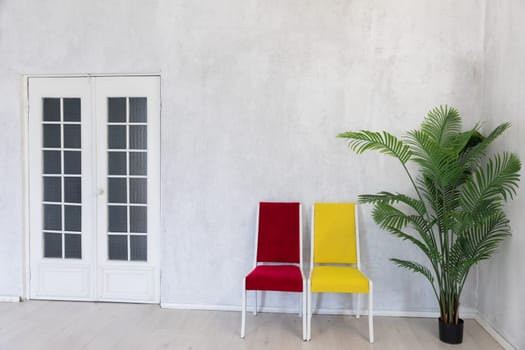 red yellow chairs with green plant in the interior of a bright room