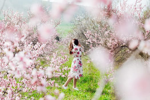 brunette in beautiful dress in pink flowers in a blooming garden walk in spring