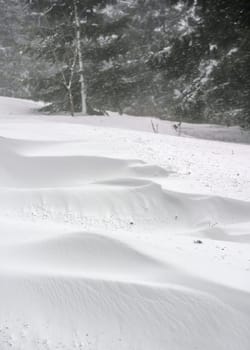 Deep snow drifts next to forest road, snowstorm seen over trees in distance